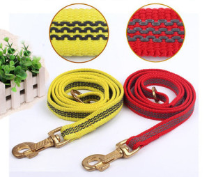 Pet Products Supply Dog Leash (L005)